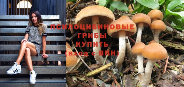 кокс Покачи