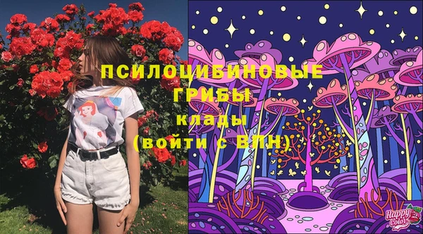 МДПВ Покровск