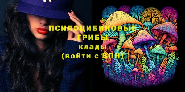 МДПВ Покровск