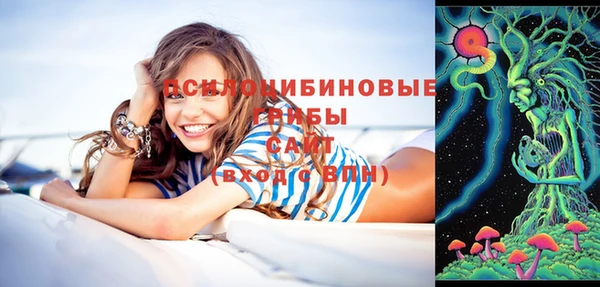 МДПВ Покровск