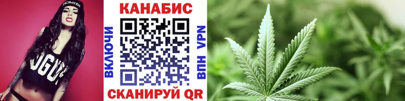 Конопля Bruce Banner  Афипский 